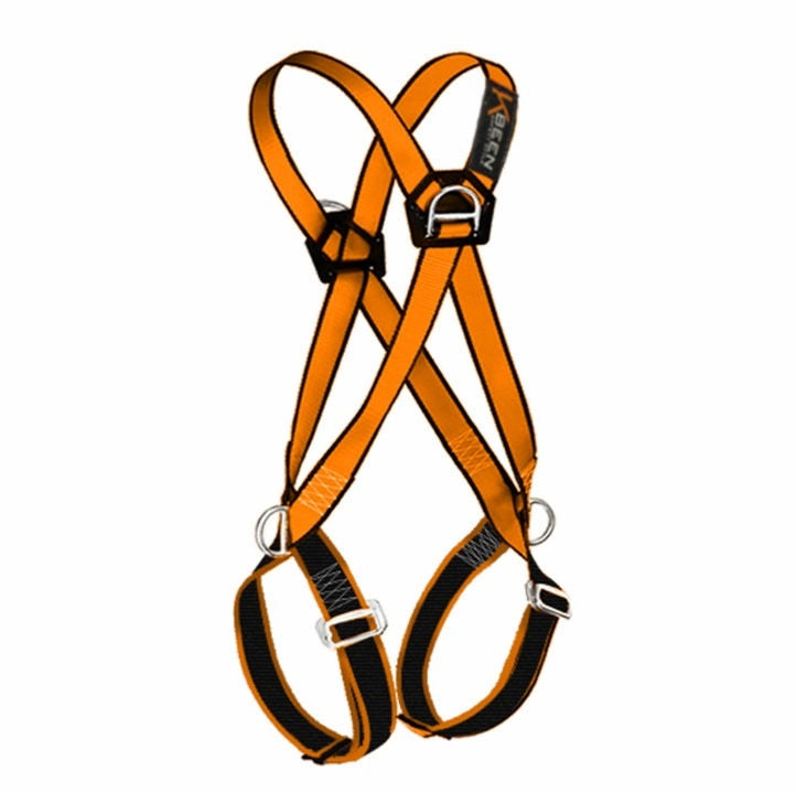 Arnés 4 argollas estándar